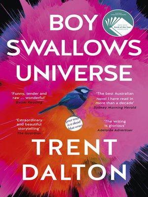cover image of Boy Swallows Universe